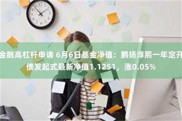 金融高杠杆申请 6月6日基金净值：鹏扬淳熙一年定开债发起式最新净值1.1251，涨0.05%