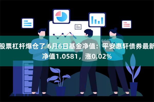 股票杠杆爆仓了 6月6日基金净值：平安惠轩债券最新净值1.0581，涨0.02%