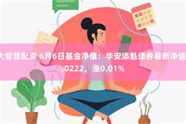 大智慧配资 6月6日基金净值：华安添魁债券最新净值1.0222，涨0.01%