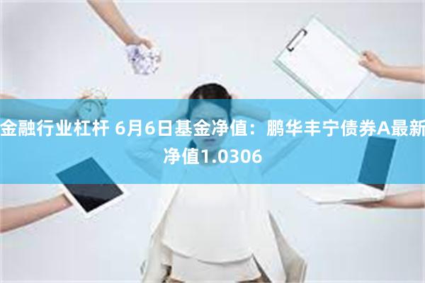 金融行业杠杆 6月6日基金净值：鹏华丰宁债券A最新净值1.0306