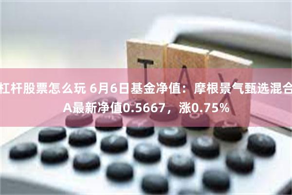 杠杆股票怎么玩 6月6日基金净值：摩根景气甄选混合A最新净值0.5667，涨0.75%