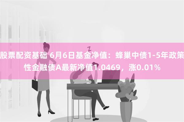 股票配资基础 6月6日基金净值：蜂巢中债1-5年政策性金融债A最新净值1.0469，涨0.01%