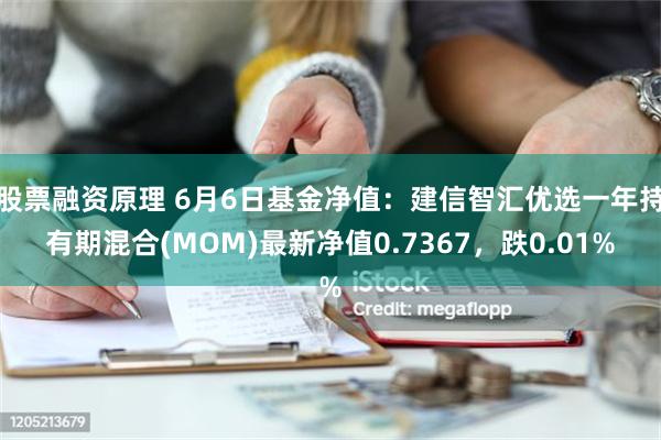 股票融资原理 6月6日基金净值：建信智汇优选一年持有期混合(MOM)最新净值0.7367，跌0.01%