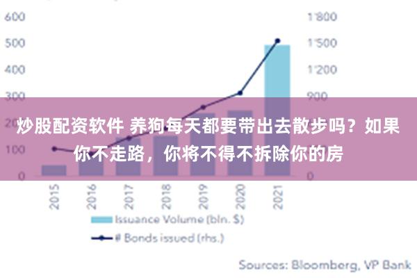 炒股配资软件 养狗每天都要带出去散步吗？如果你不走路，你将不得不拆除你的房