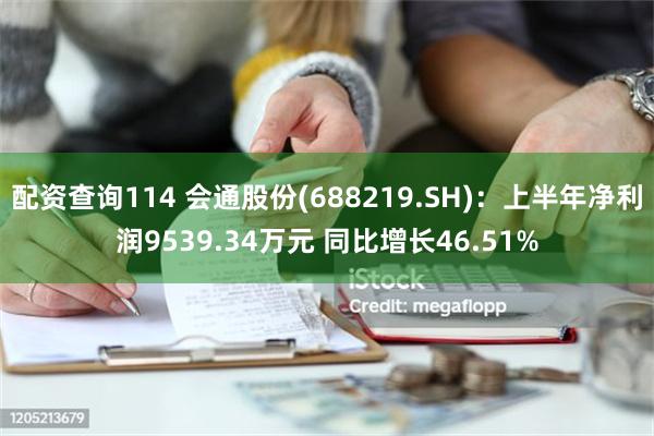 配资查询114 会通股份(688219.SH)：上半年净利润9539.34万元 同比增长46.51%