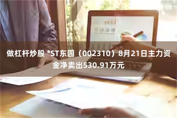 做杠杆炒股 *ST东园（002310）8月21日主力资金净卖出530.91万元