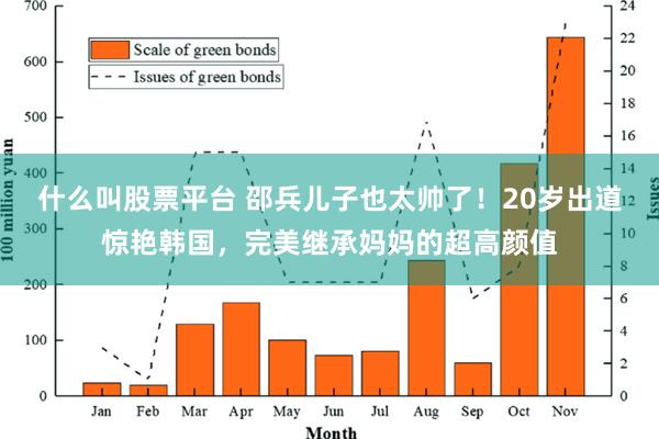 什么叫股票平台 邵兵儿子也太帅了！20岁出道惊艳韩国，完美继承妈妈的超高颜值