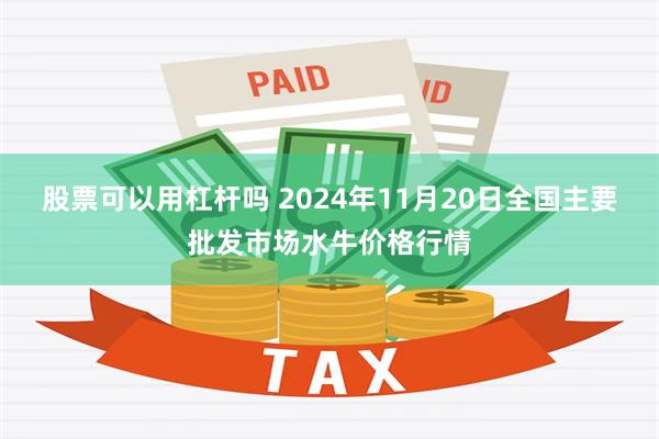 股票可以用杠杆吗 2024年11月20日全国主要批发市场水牛价格行情