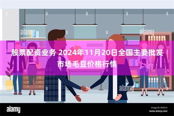 股票配资业务 2024年11月20日全国主要批发市场毛豆价格行情