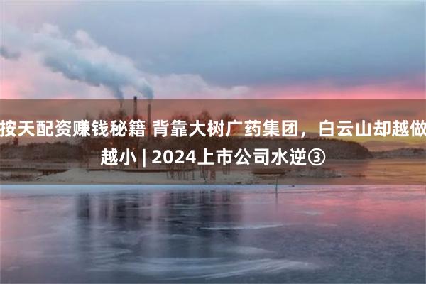 按天配资赚钱秘籍 背靠大树广药集团，白云山却越做越小 | 2024上市公司水逆③