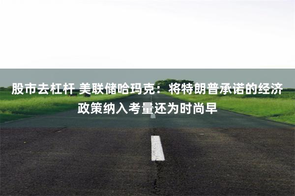 股市去杠杆 美联储哈玛克：将特朗普承诺的经济政策纳入考量还为时尚早