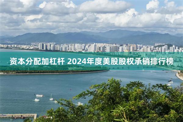 资本分配加杠杆 2024年度美股股权承销排行榜