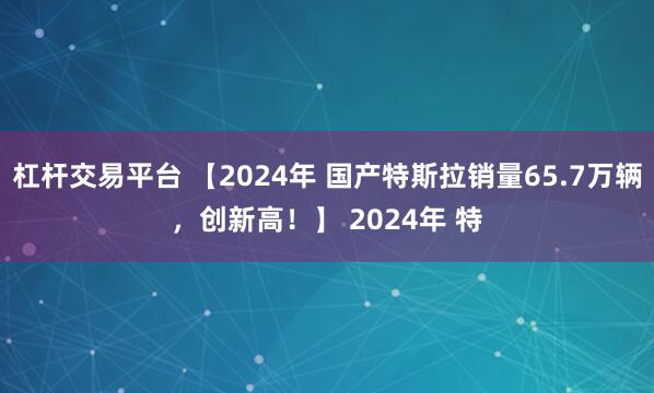 杠杆交易平台 【2024年 国产特斯拉销量65.7万辆，创新高！】 2024年 特