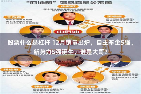 股票什么是杠杆 12月销量出炉，自主车企5强、新势力5强诞生，谁是大哥？