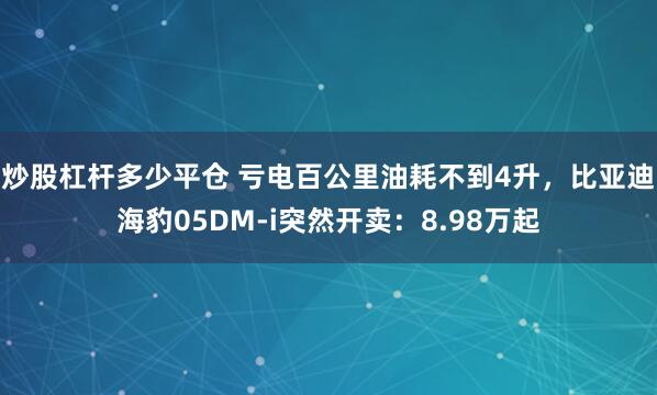 炒股杠杆多少平仓 亏电百公里油耗不到4升，比亚迪海豹05DM-i突然开卖：8.98万起