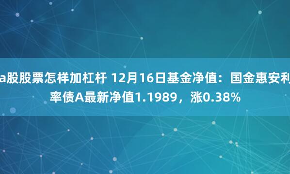 a股股票怎样加杠杆 12月16日基金净值：国金惠安利率债A最新净值1.1989，涨0.38%