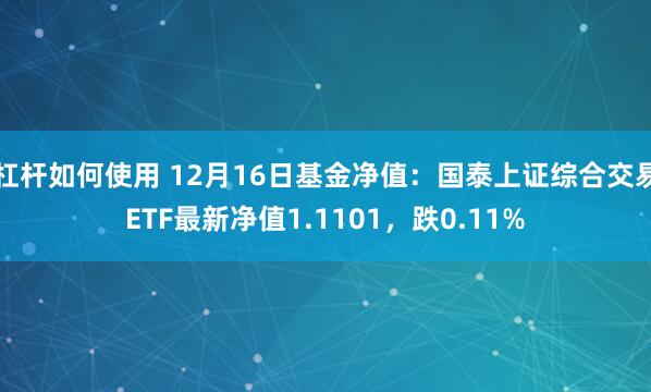 杠杆如何使用 12月16日基金净值：国泰上证综合交易ETF最新净值1.1101，跌0.11%