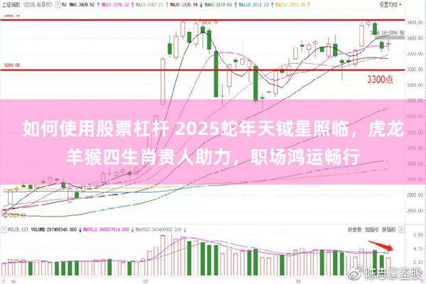 如何使用股票杠杆 2025蛇年天钺星照临，虎龙羊猴四生肖贵人助力，职场鸿运畅行